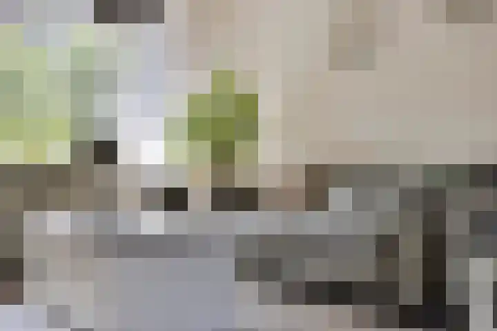 Kruisakker 82 Eindhoven thumbnail 5