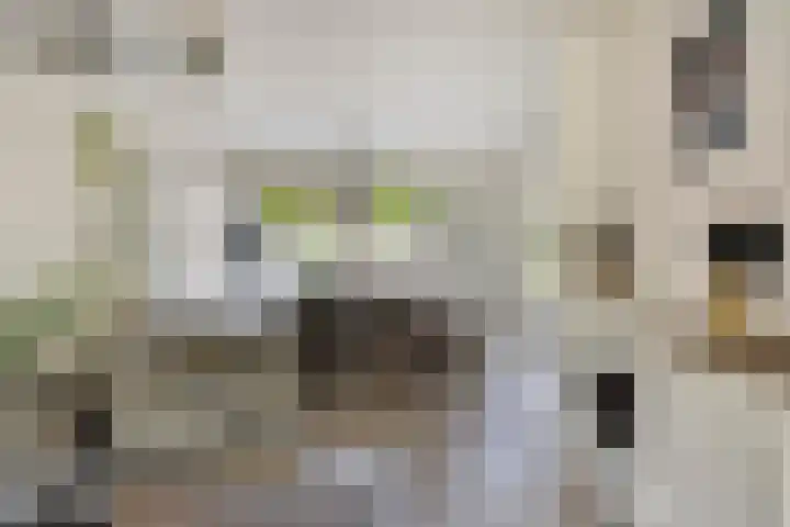 Kruisakker 82 Eindhoven thumbnail 6
