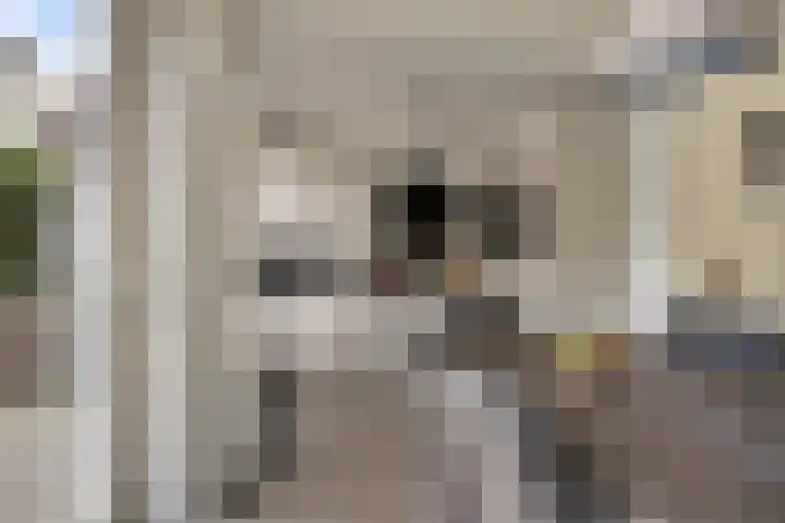 Kruisakker 82 Eindhoven thumbnail 9