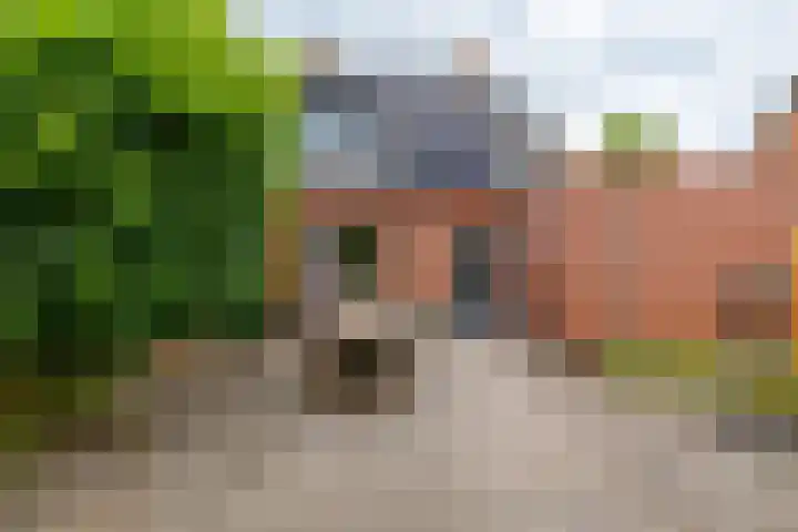 Kruisakkers 13 Annen thumbnail 13