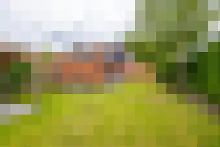 Kruisakkers 13 Annen thumbnail 14