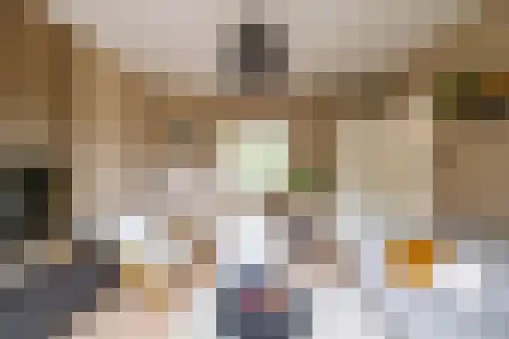 Kruisakkers 13 Annen thumbnail 31