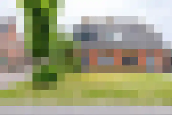 Kruisakkers 13 Annen thumbnail 60