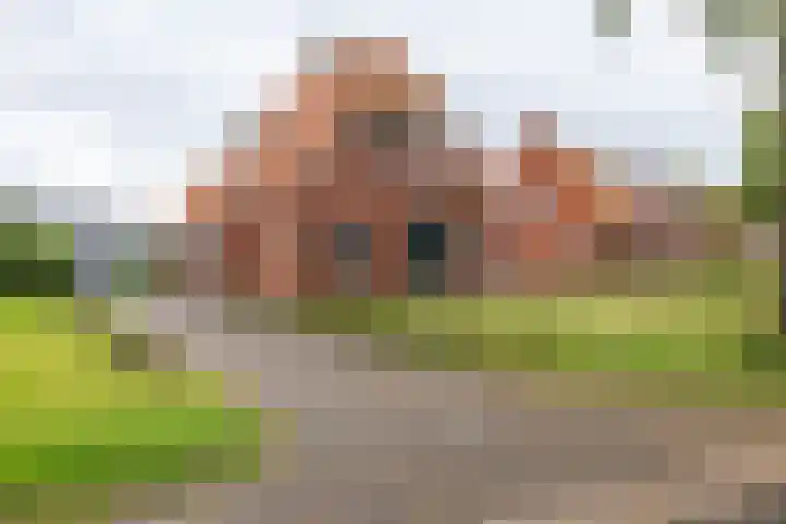 Kruisakkers 29 in Annen