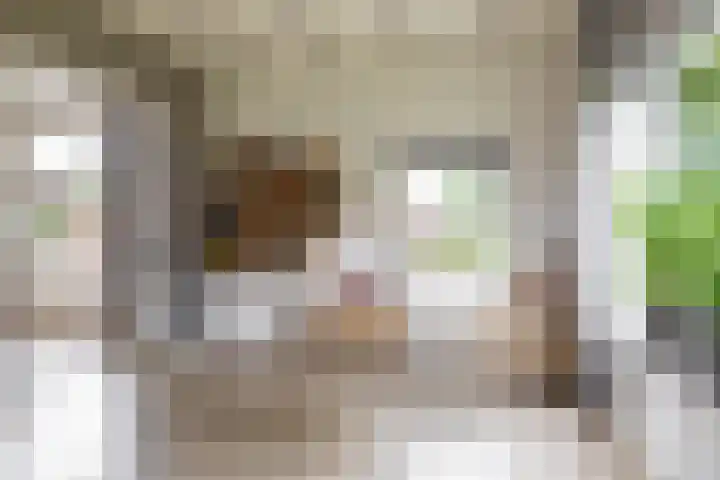 Kruisakkers 29 Annen thumbnail 15