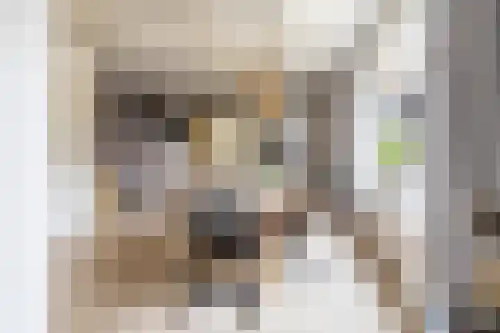 Kruisakkers 29 Annen thumbnail 19
