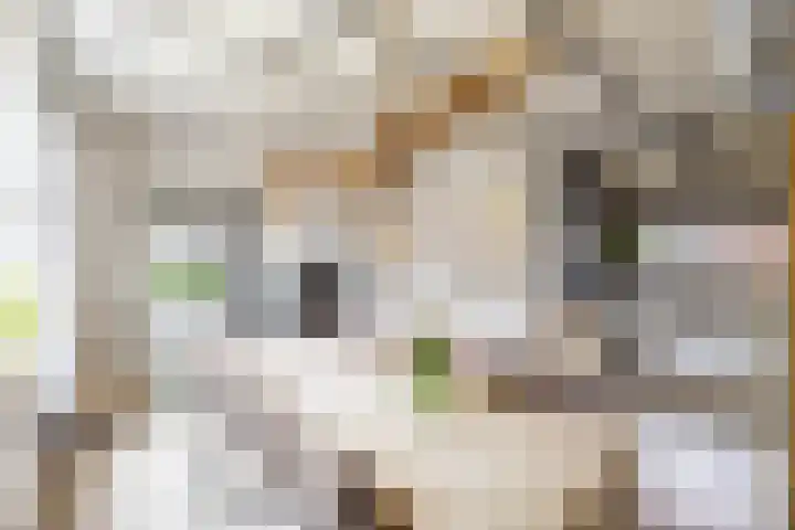 Kruisakkers 29 Annen thumbnail 20