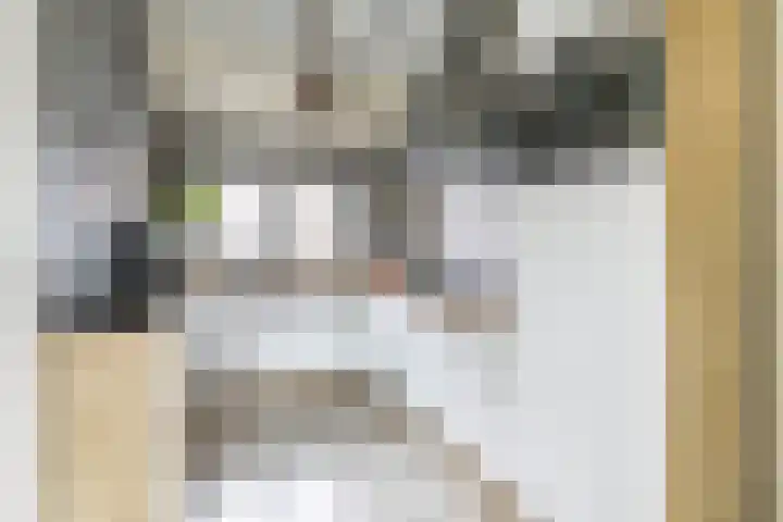 Kruisakkers 29 Annen thumbnail 21