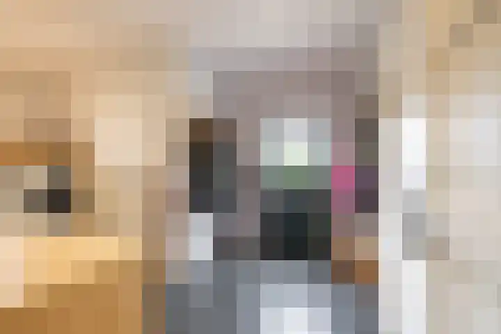 Kruisakkers 29 Annen thumbnail 25