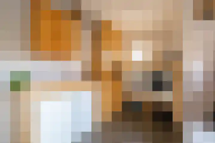 Kruisakkers 29 Annen thumbnail 26