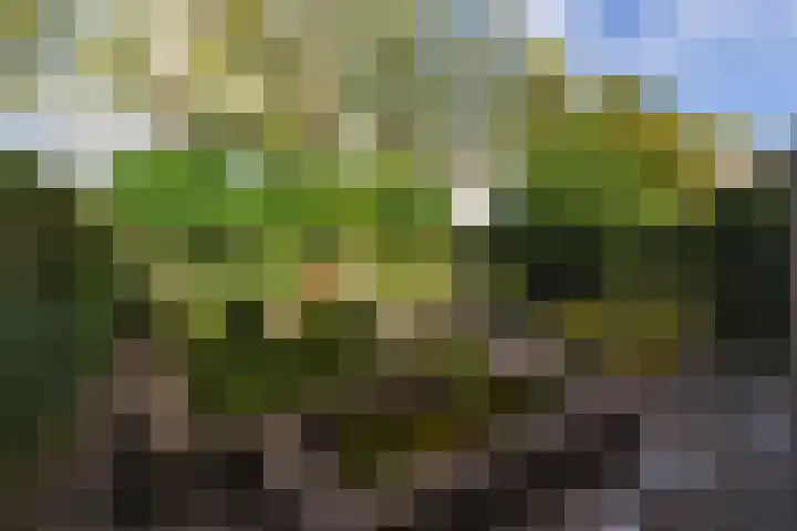 Kruisakkers 29 Annen thumbnail 31