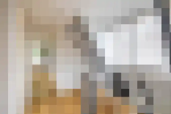 Kruisakkers 29 Annen thumbnail 38