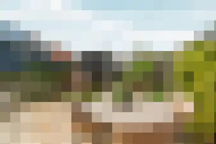 Kruisakkers 29 Annen thumbnail 42