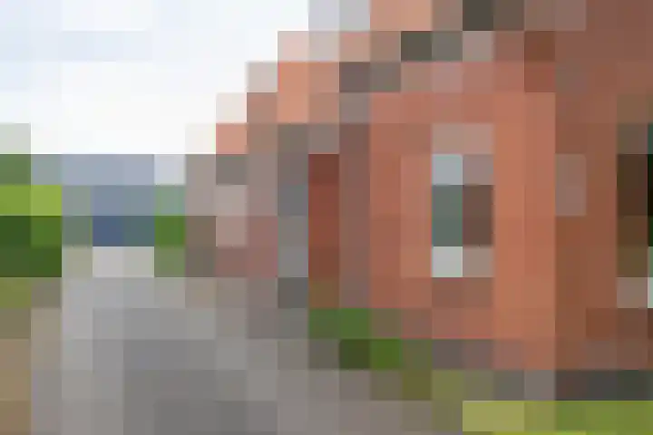Kruisakkers 29 Annen thumbnail 5