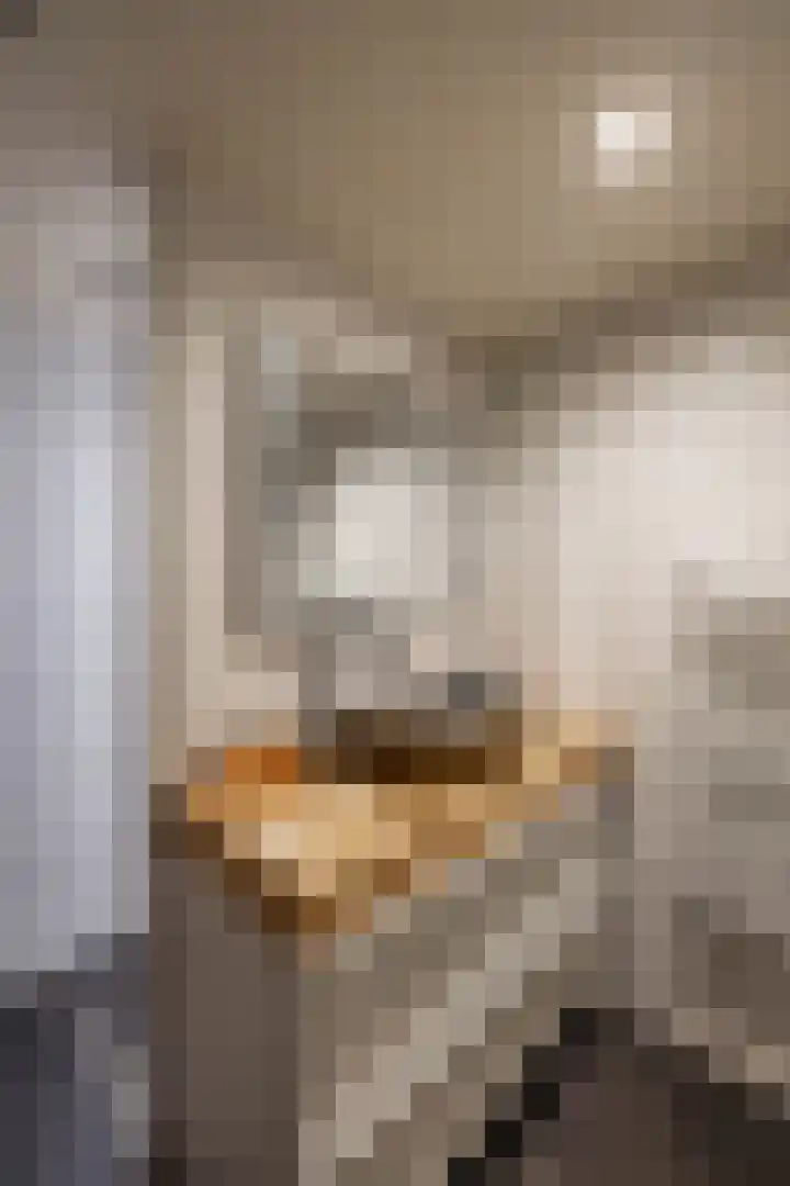 Kruisakkers 29 Annen thumbnail 51