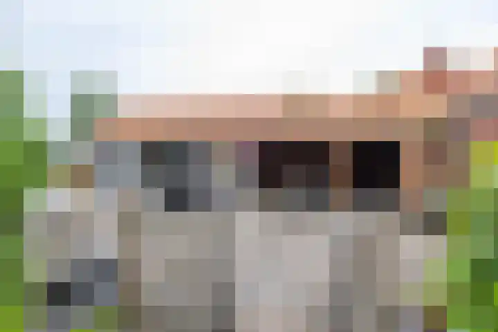 Kruisakkers 29 Annen thumbnail 57