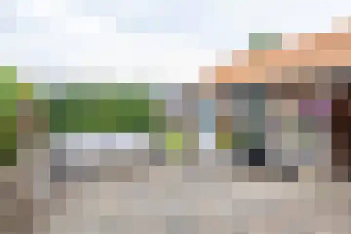 Kruisakkers 29 Annen thumbnail 59