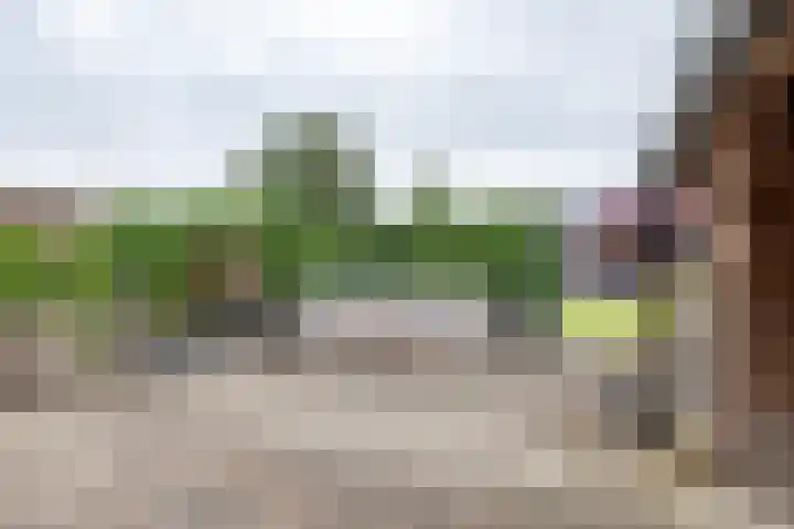 Kruisakkers 29 Annen thumbnail 62