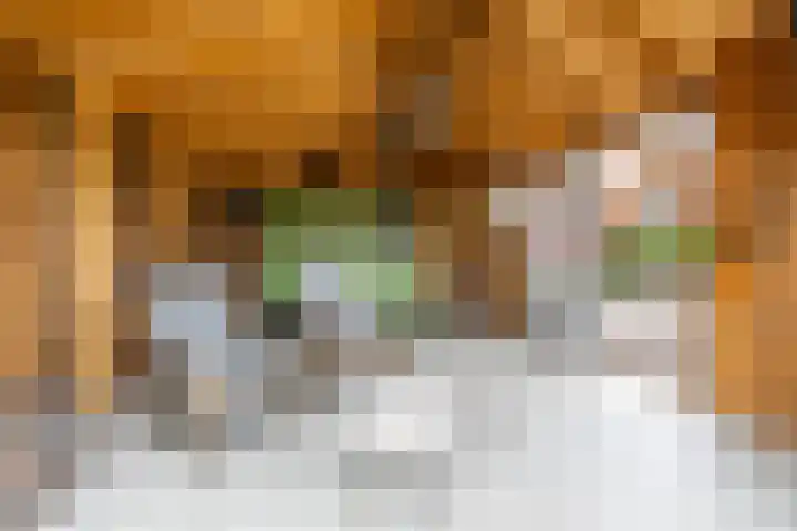 Kruisakkers 29 Annen thumbnail 67
