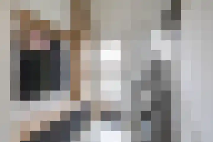 Kruisakkers 29 Annen thumbnail 7