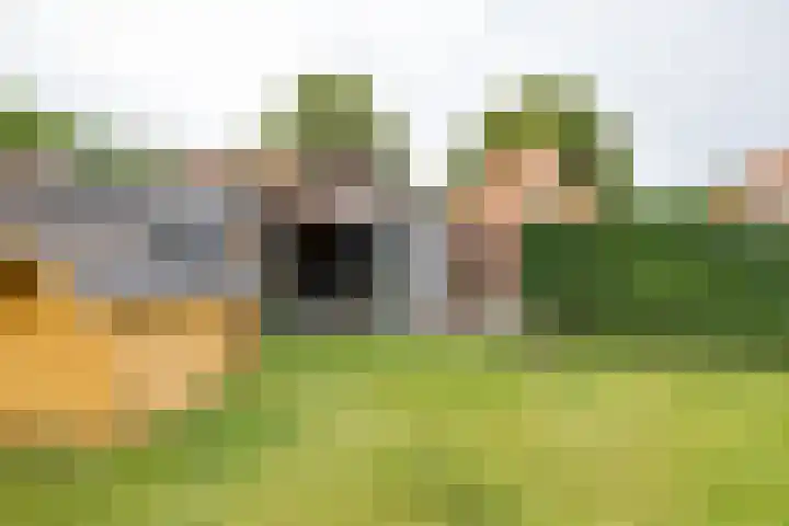 Kruisakkers 29 Annen thumbnail 74