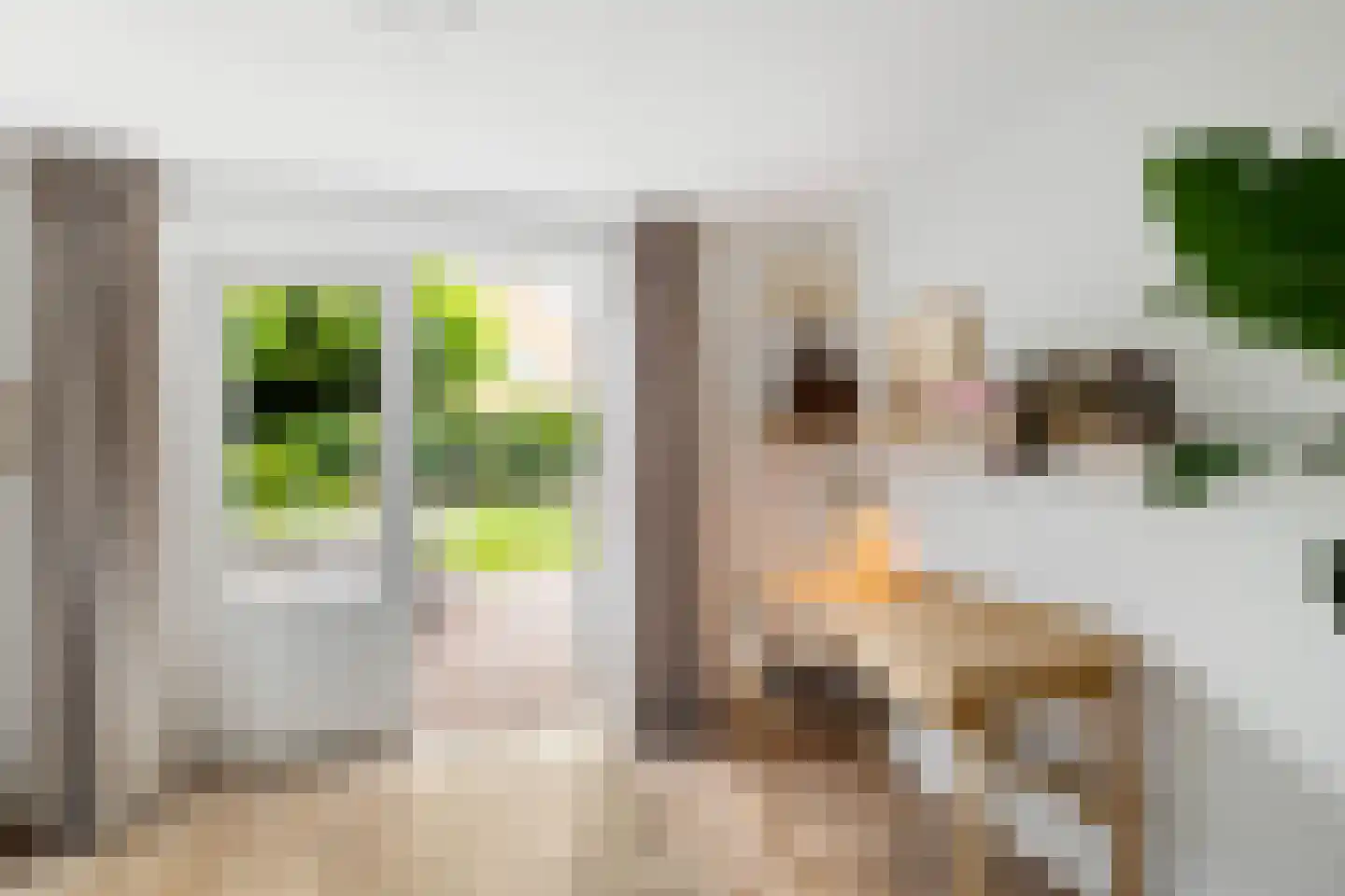 Kruisakkers 4 Annen thumbnail 25
