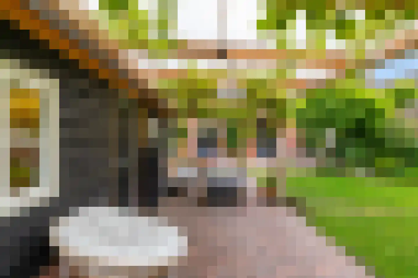 Kruisakkers 4 Annen thumbnail 31