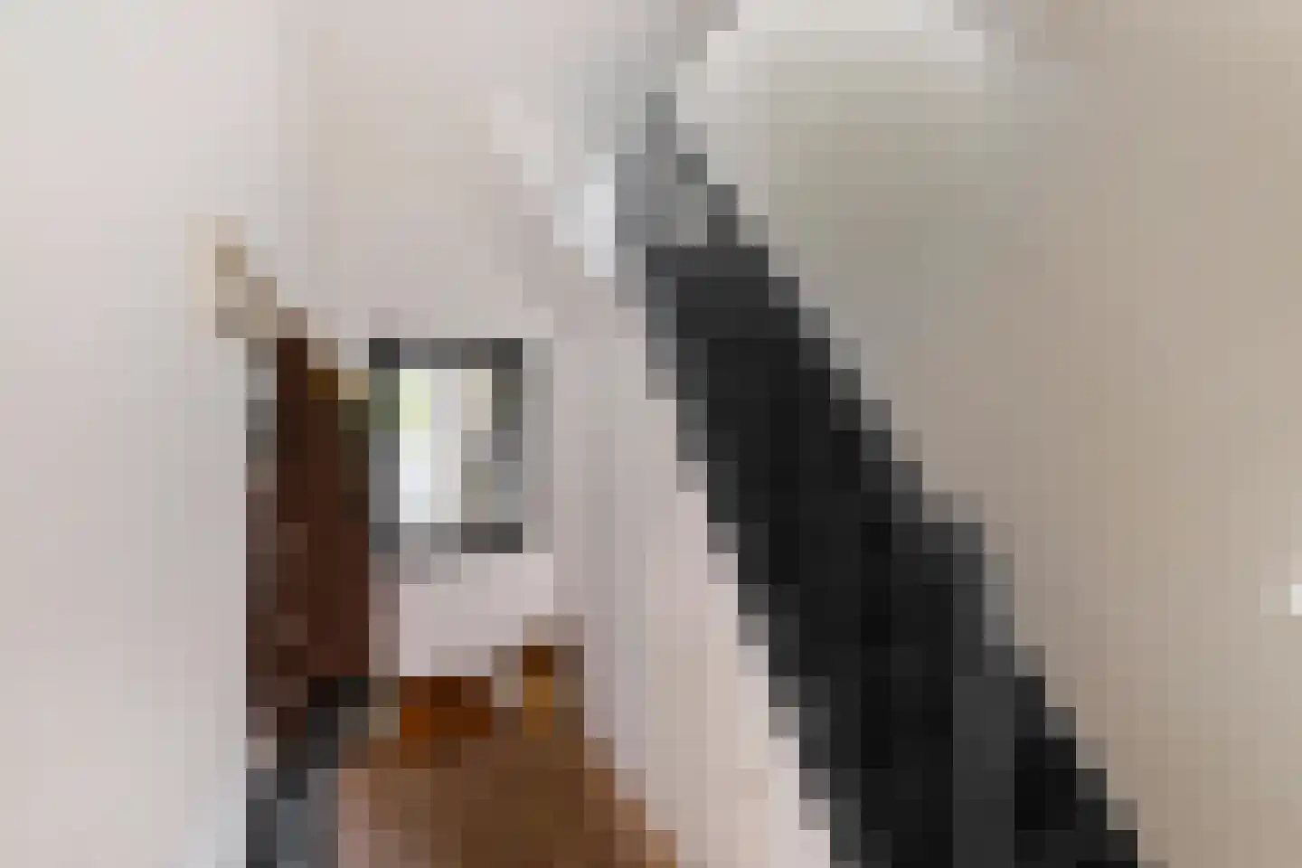 Kruisakkers 4 Annen thumbnail 39