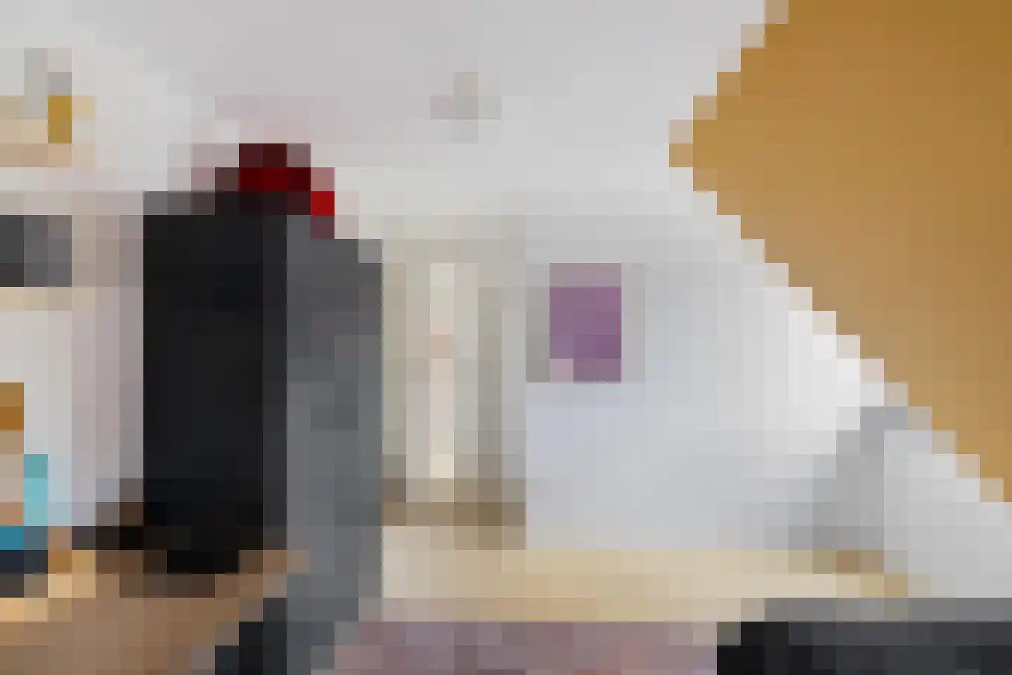 Kruisakkers 4 Annen thumbnail 49