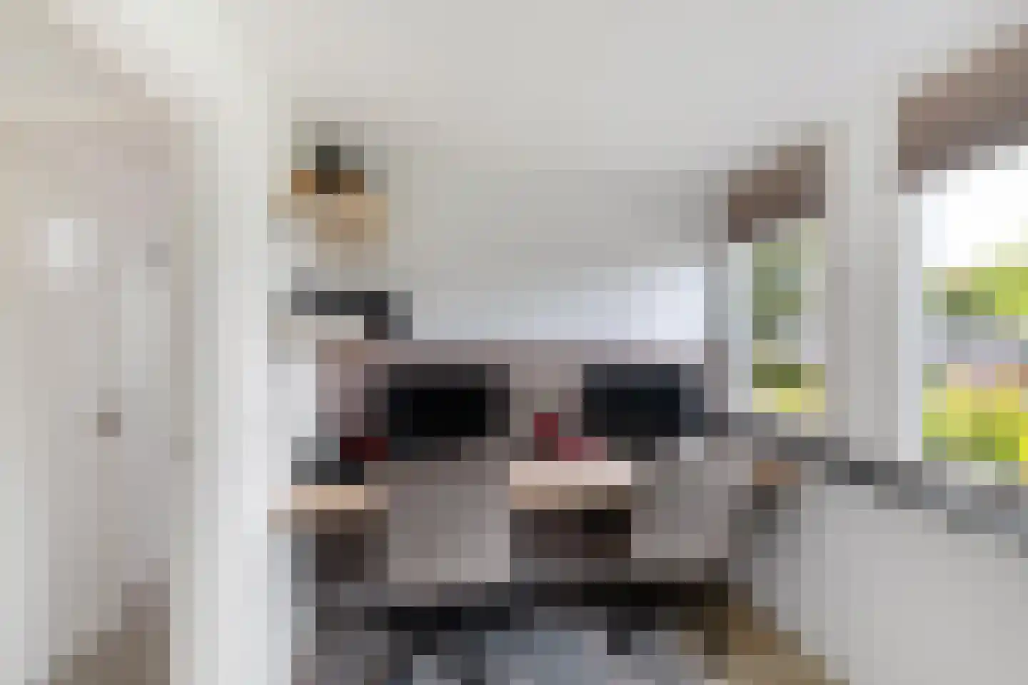 Kruisakkers 4 Annen thumbnail 51