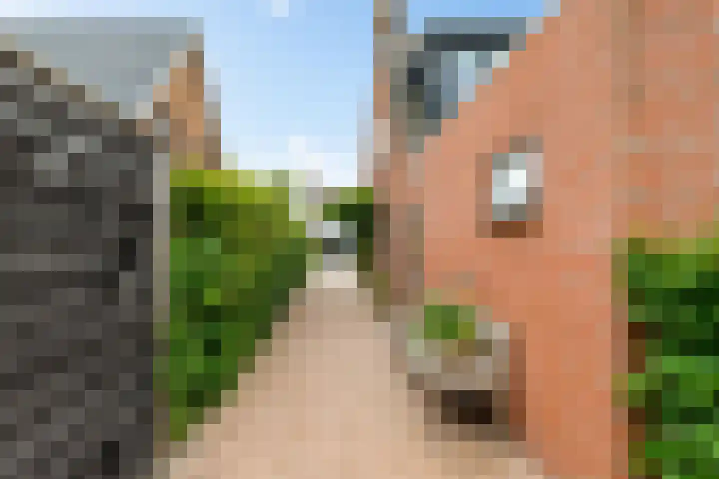 Kruisakkers 4 Annen thumbnail 54