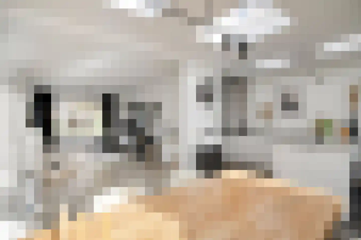 Kruisakkerweg 3 't Harde thumbnail 12