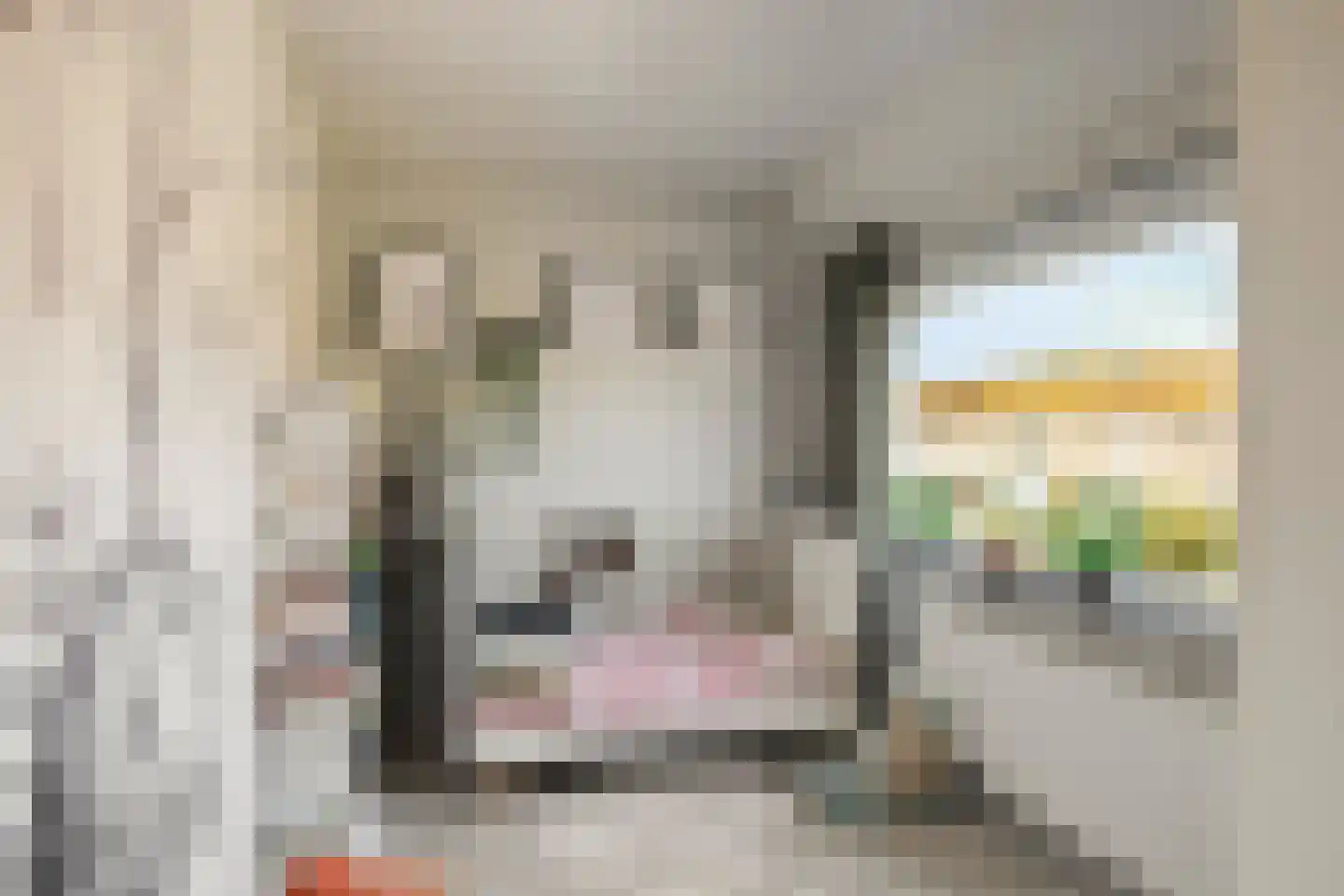 Kruisakkerweg 3 't Harde thumbnail 31