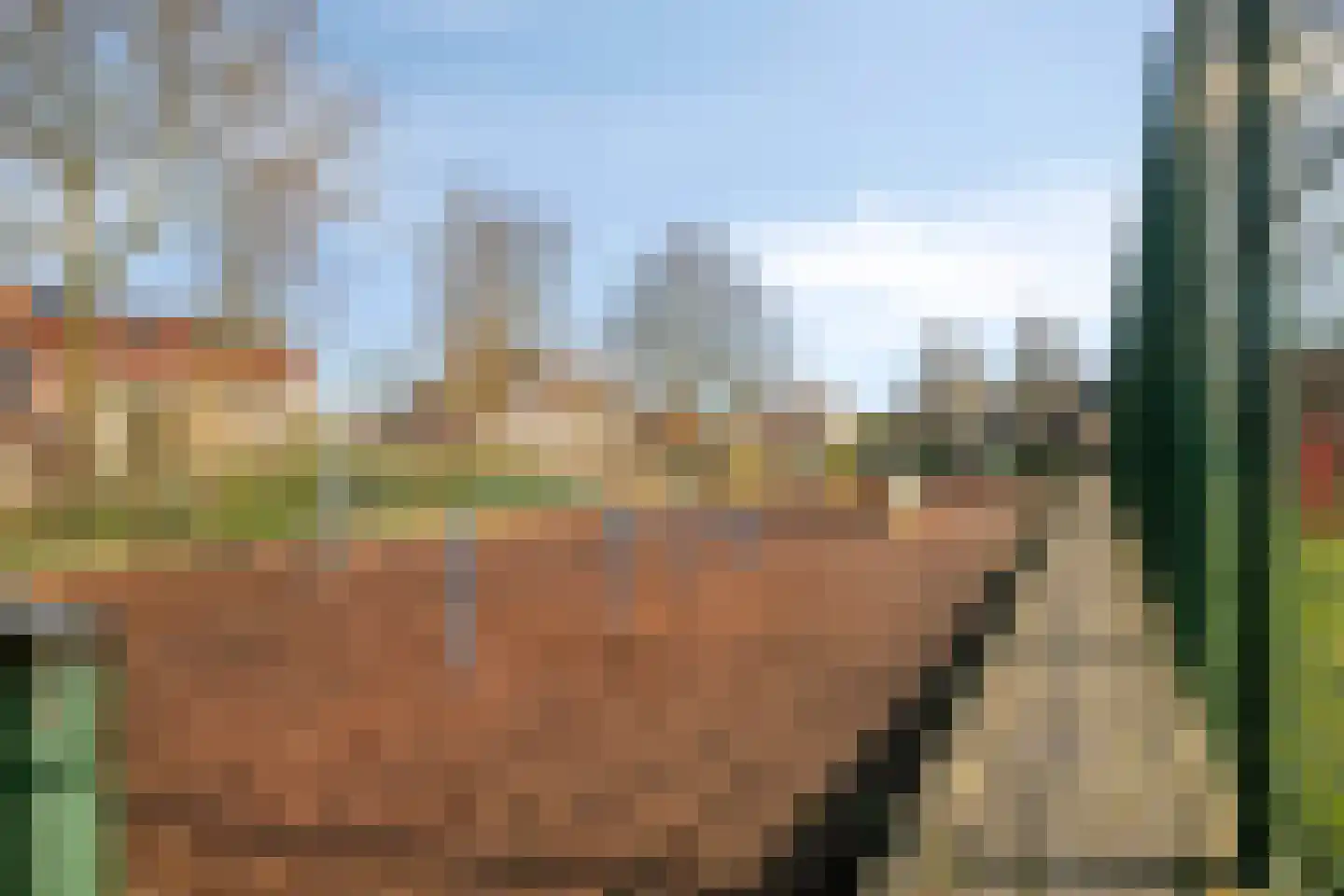 Kruisakkerweg 3 't Harde thumbnail 40
