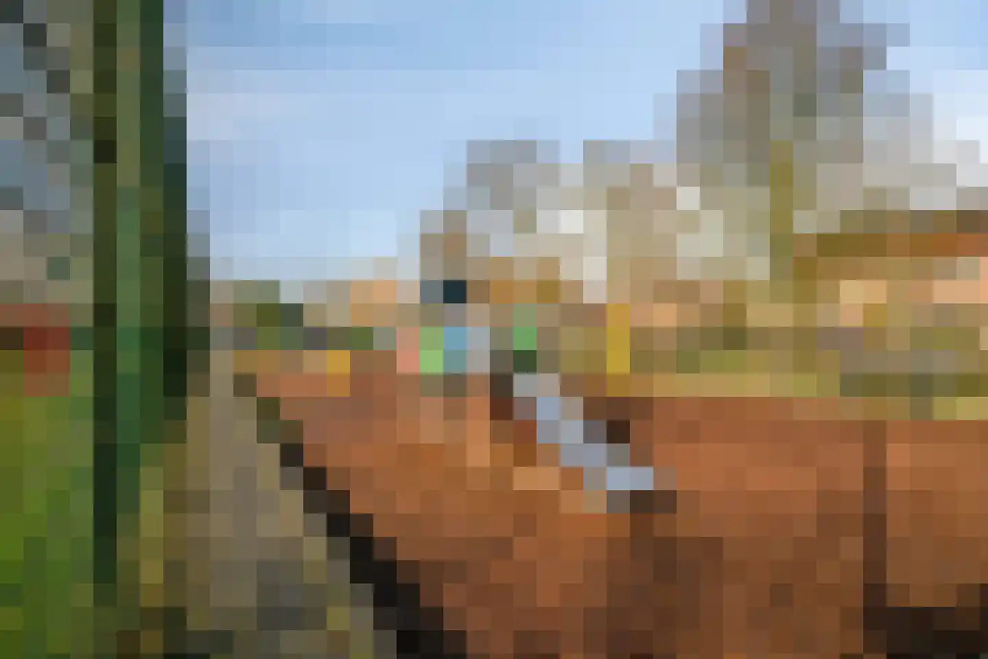 Kruisakkerweg 3 't Harde thumbnail 41