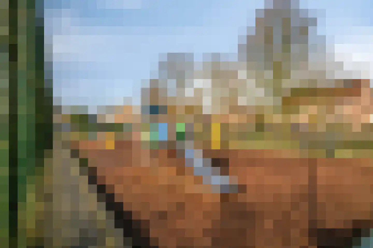 Kruisakkerweg 3 't Harde thumbnail 42