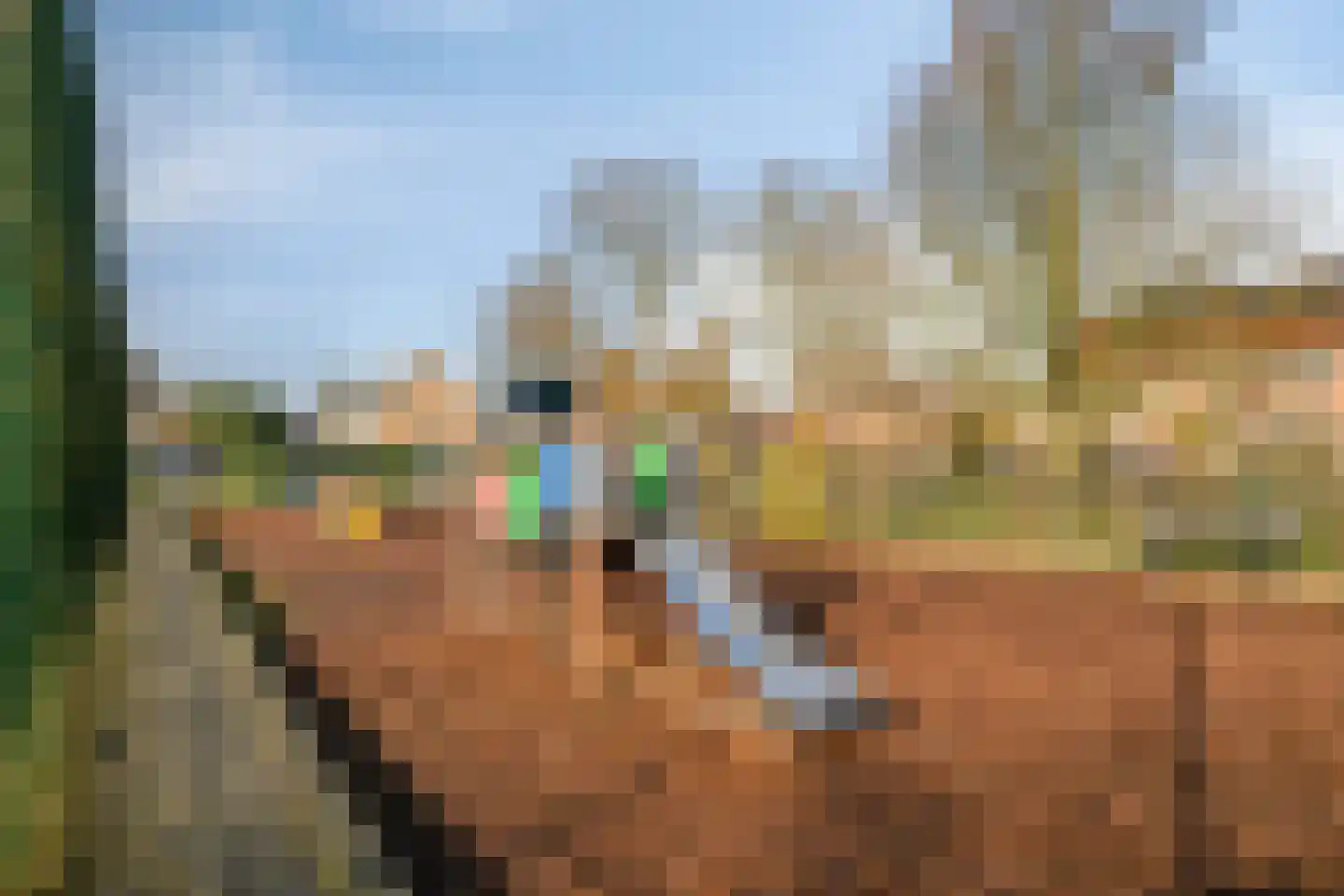 Kruisakkerweg 3 't Harde thumbnail 43