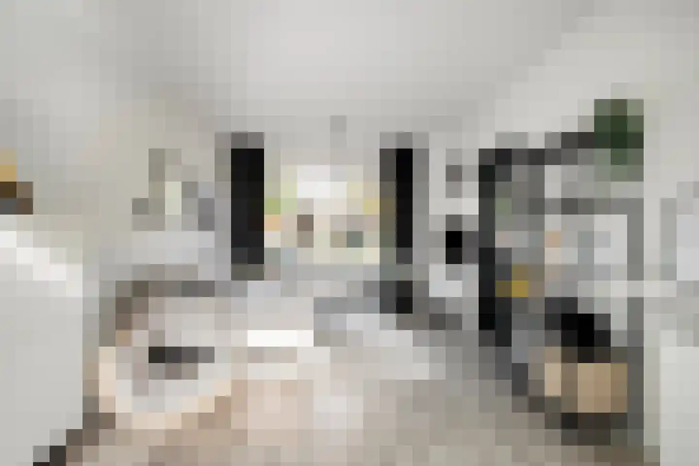 Kruisakkerweg 3 't Harde thumbnail 7