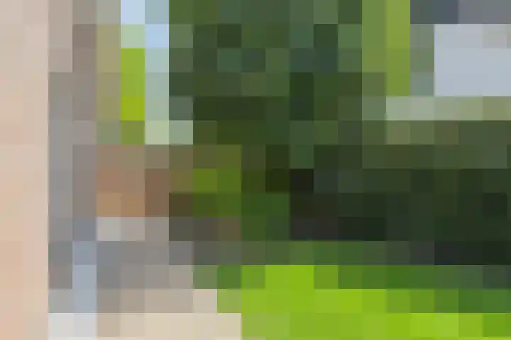 Kruisbaan 29 Goirle thumbnail 36