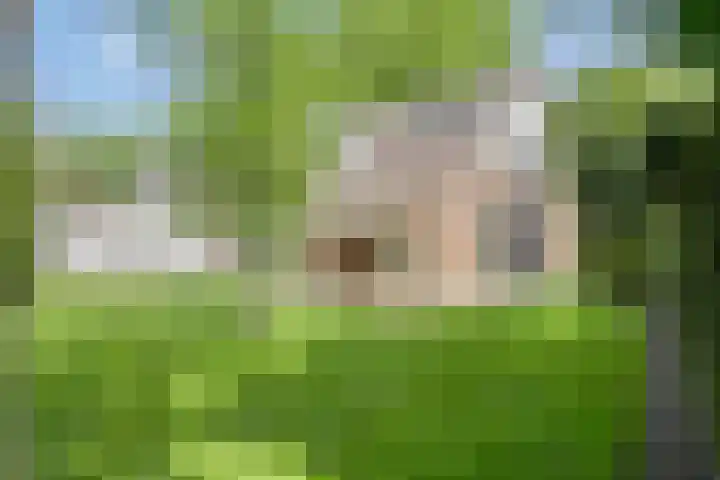 Kruisbaan 29 Goirle thumbnail 4