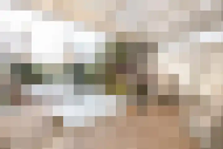 Kruisbalk 8 Wateringen thumbnail 15