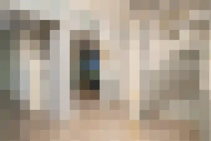 Kruisbalk 8 Wateringen thumbnail 19