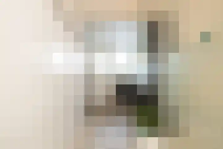 Kruisbalk 8 Wateringen thumbnail 22
