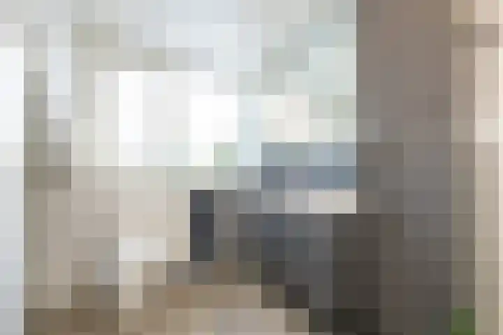 Kruisbalk 8 Wateringen thumbnail 23