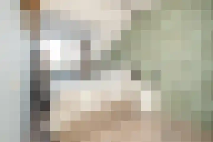 Kruisbalk 8 Wateringen thumbnail 26