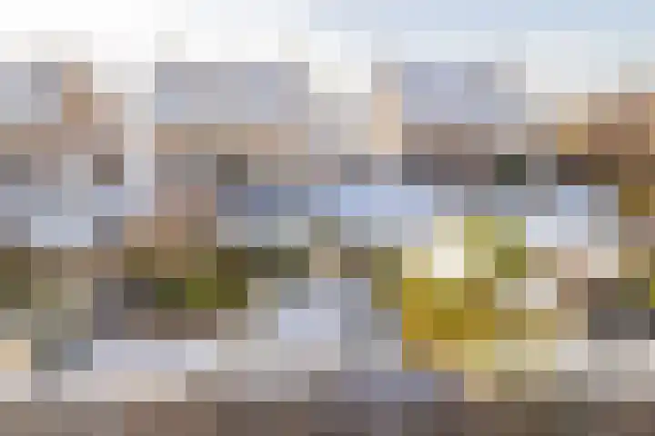 Kruisbalk 8 Wateringen thumbnail 34