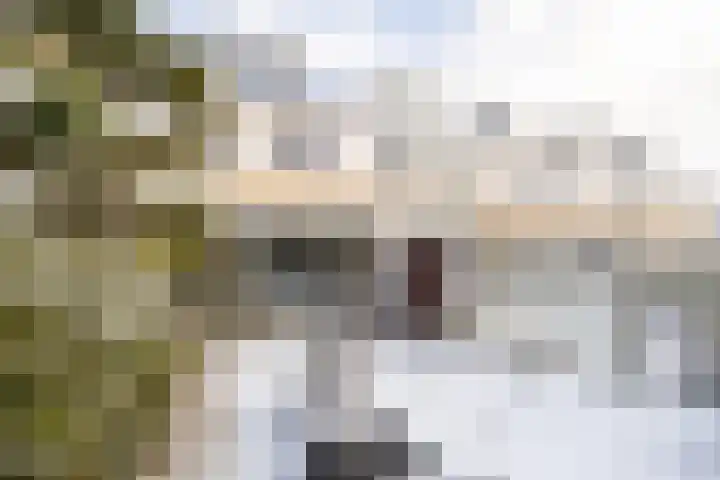 Kruisbalk 8 Wateringen thumbnail 37
