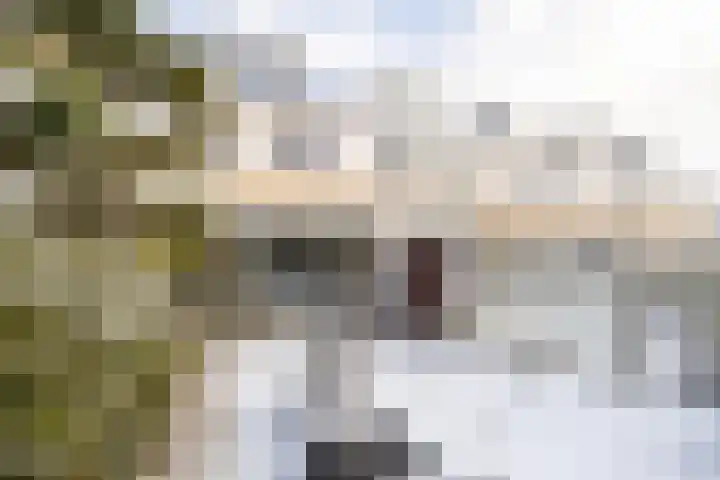 Kruisbalk 8 Wateringen thumbnail 4