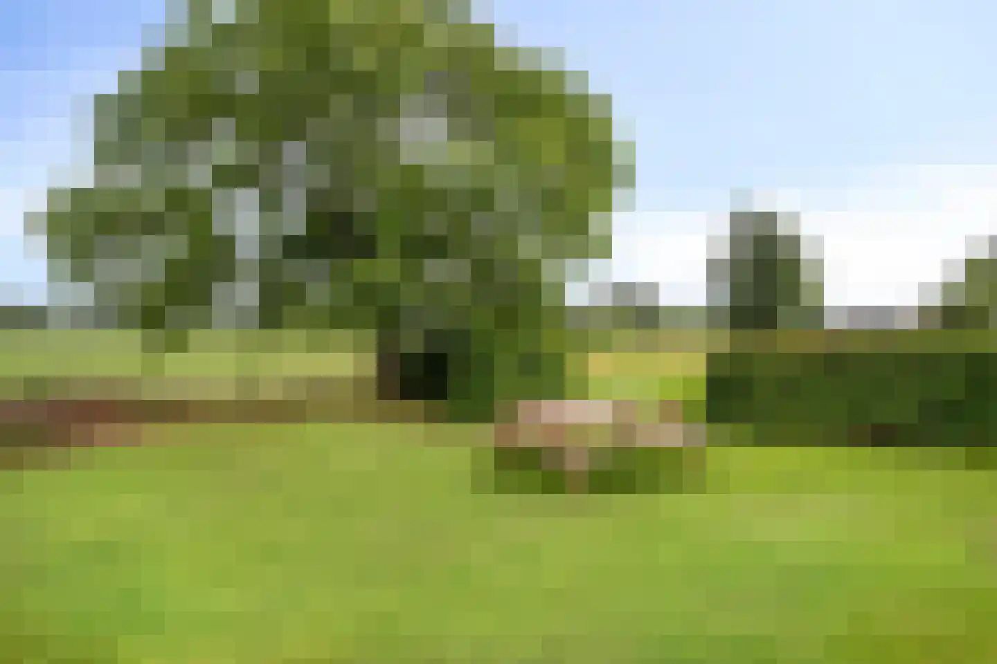 Kruisbeekweg 22 Lunteren thumbnail 43