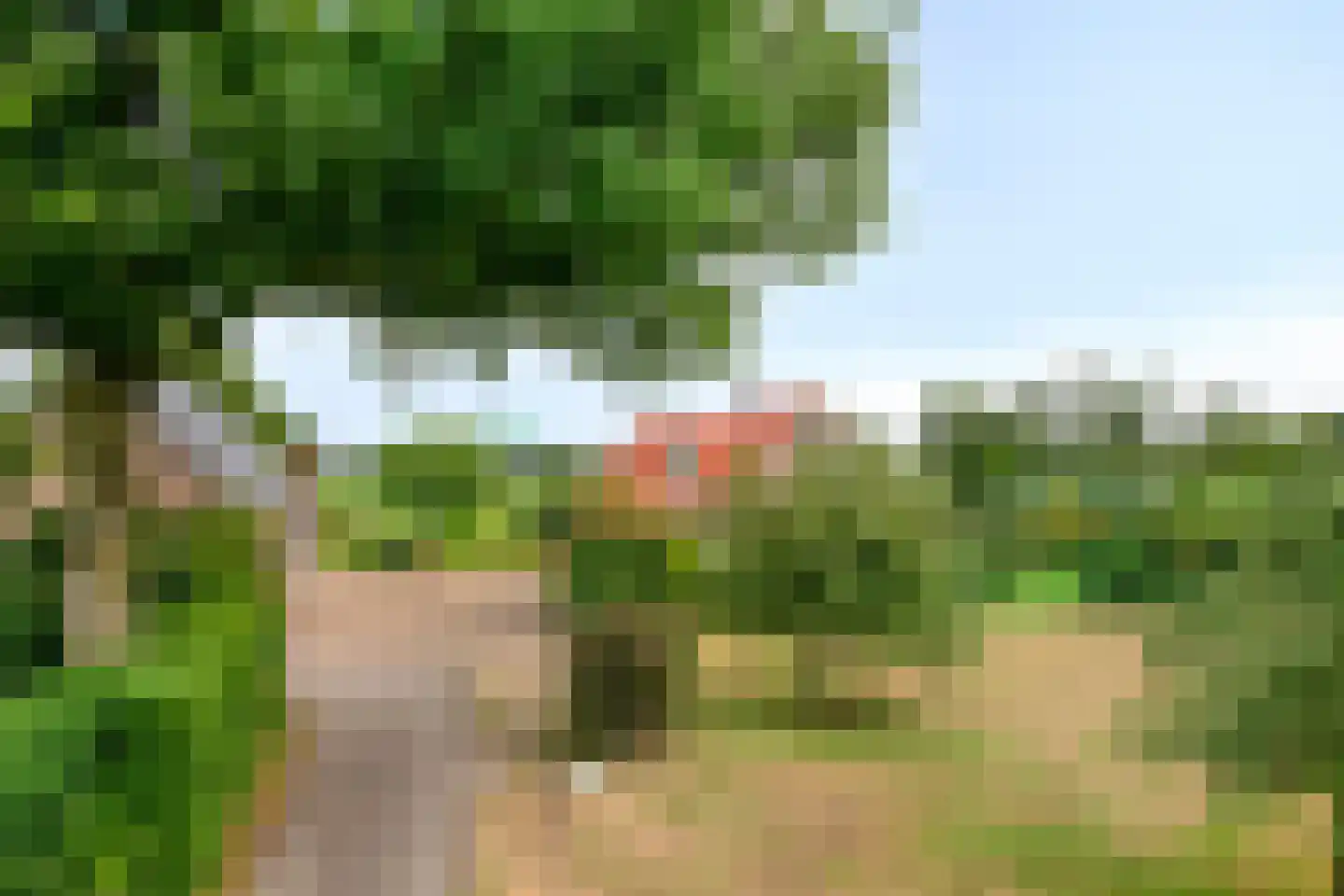 Kruisbeekweg 22 Lunteren thumbnail 52